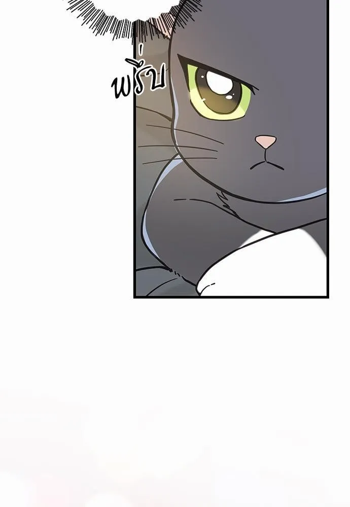 My One and Only Cat ตอนที่ 5061 My One and Only Cat ตอนที่ 5061