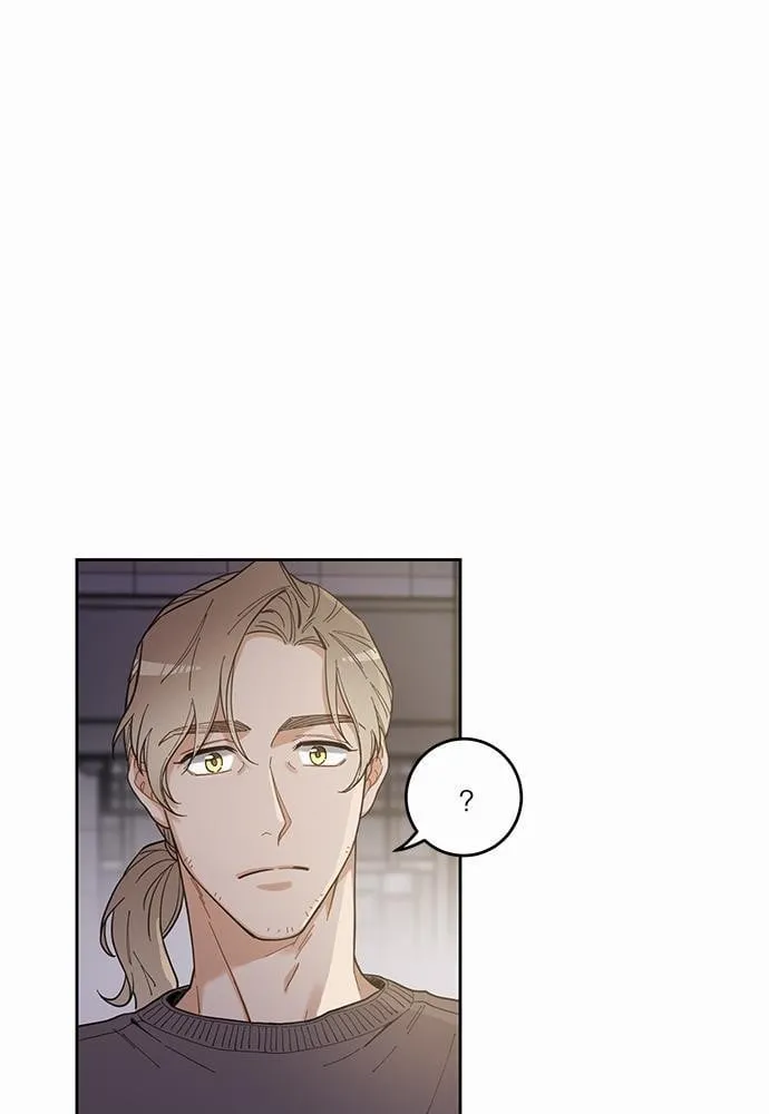 My One and Only Cat ตอนที่ 509 My One and Only Cat ตอนที่ 509