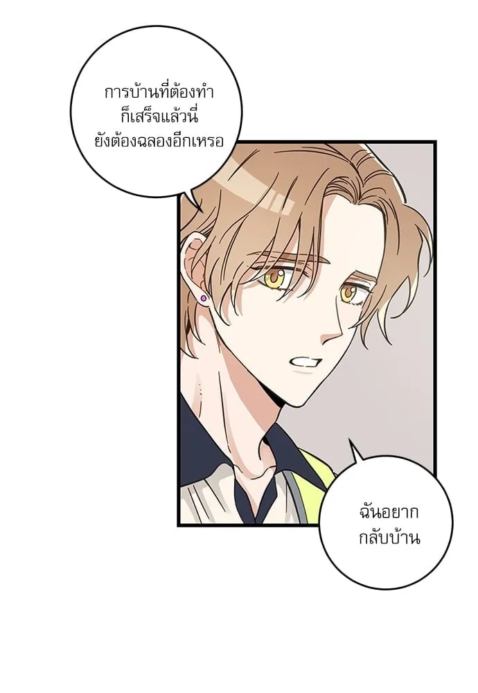 My One and Only Cat ตอนที่ 5106 My One and Only Cat ตอนที่ 5106