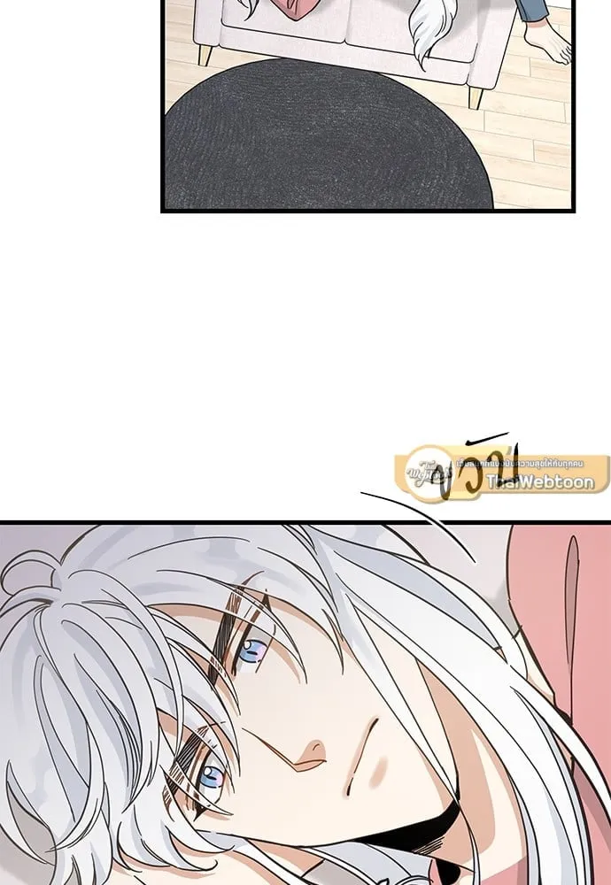 My One and Only Cat ตอนที่ 5117 My One and Only Cat ตอนที่ 5117