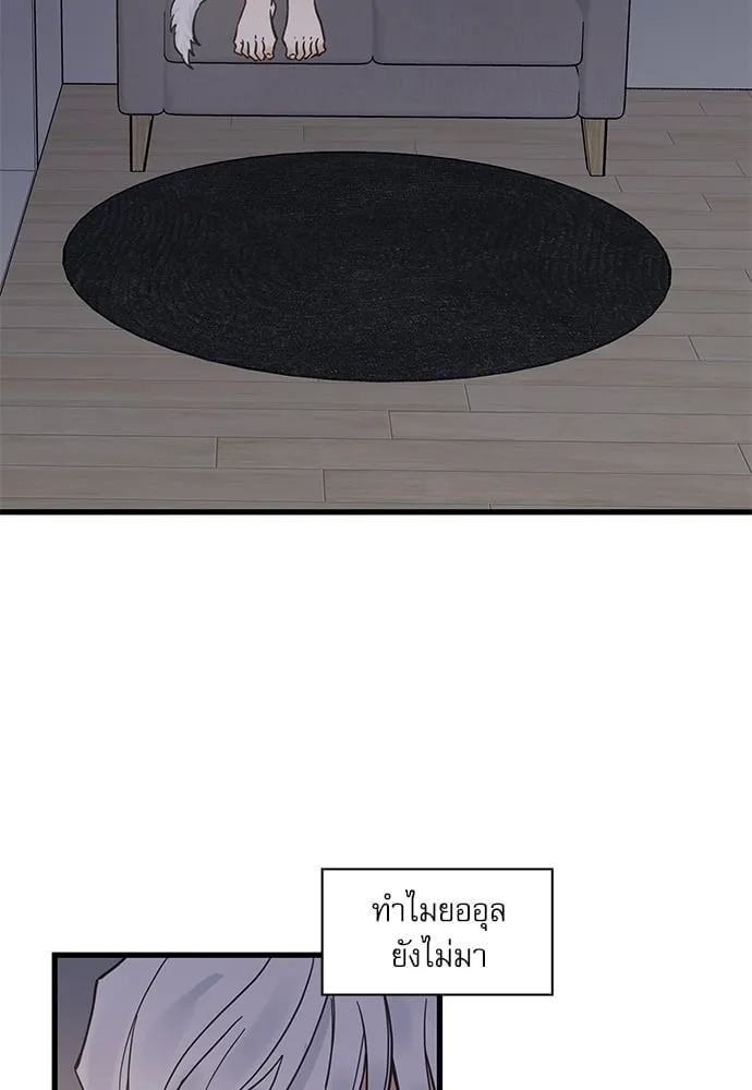 My One and Only Cat ตอนที่ 5122 My One and Only Cat ตอนที่ 5122