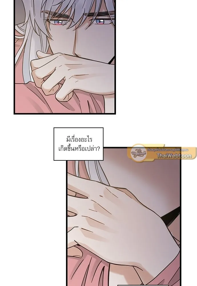 My One and Only Cat ตอนที่ 5123 My One and Only Cat ตอนที่ 5123