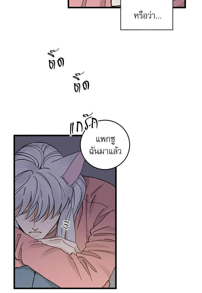 My One and Only Cat ตอนที่ 5124 My One and Only Cat ตอนที่ 5124