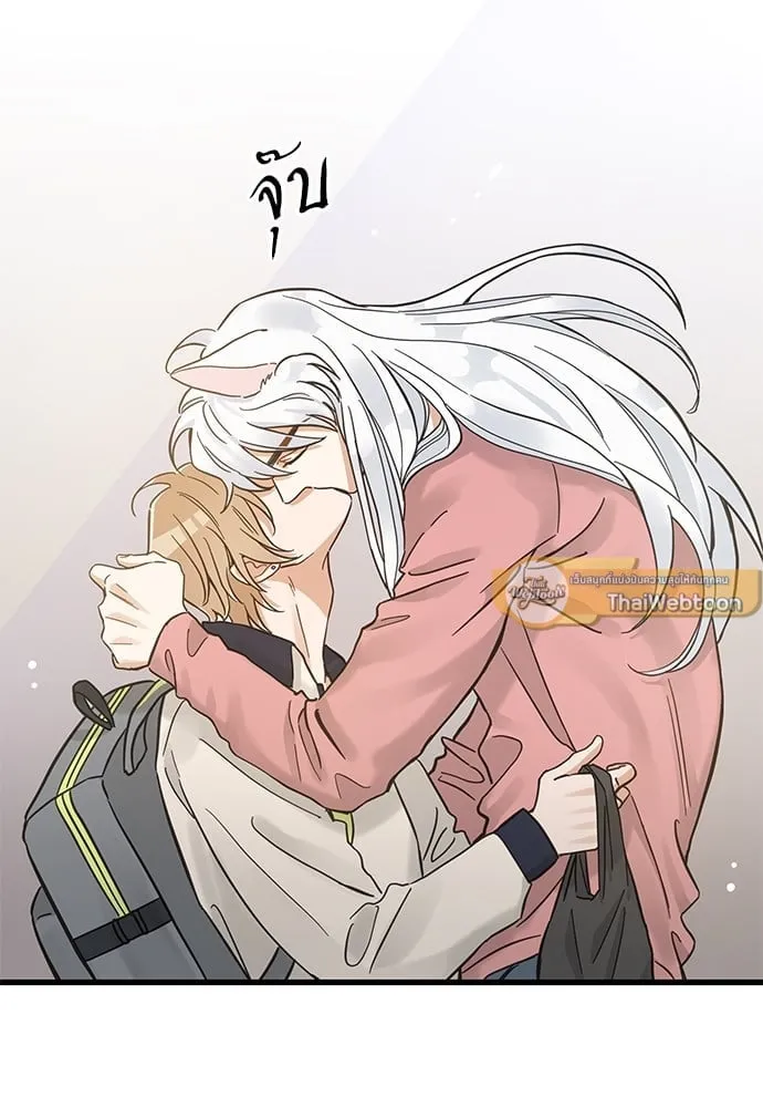 My One and Only Cat ตอนที่ 5133 My One and Only Cat ตอนที่ 5133