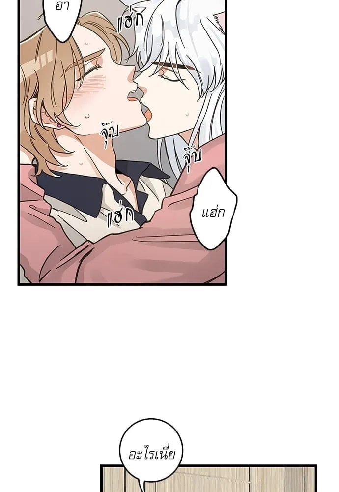 My One and Only Cat ตอนที่ 5138 My One and Only Cat ตอนที่ 5138