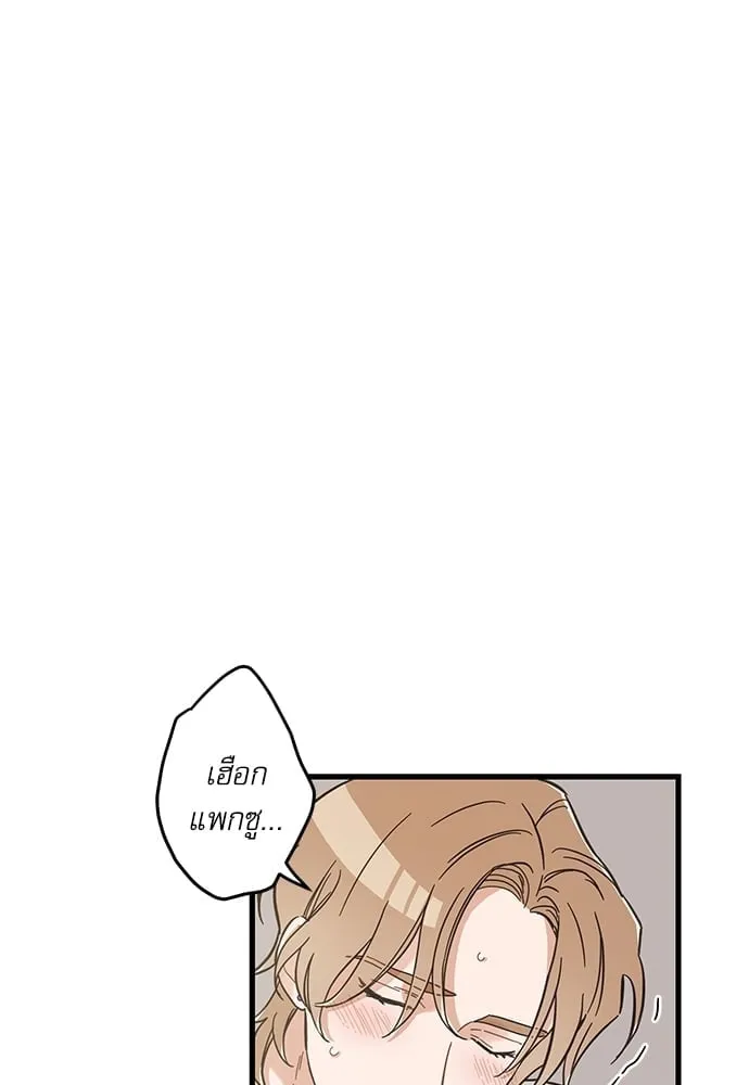 My One and Only Cat ตอนที่ 5148 My One and Only Cat ตอนที่ 5148