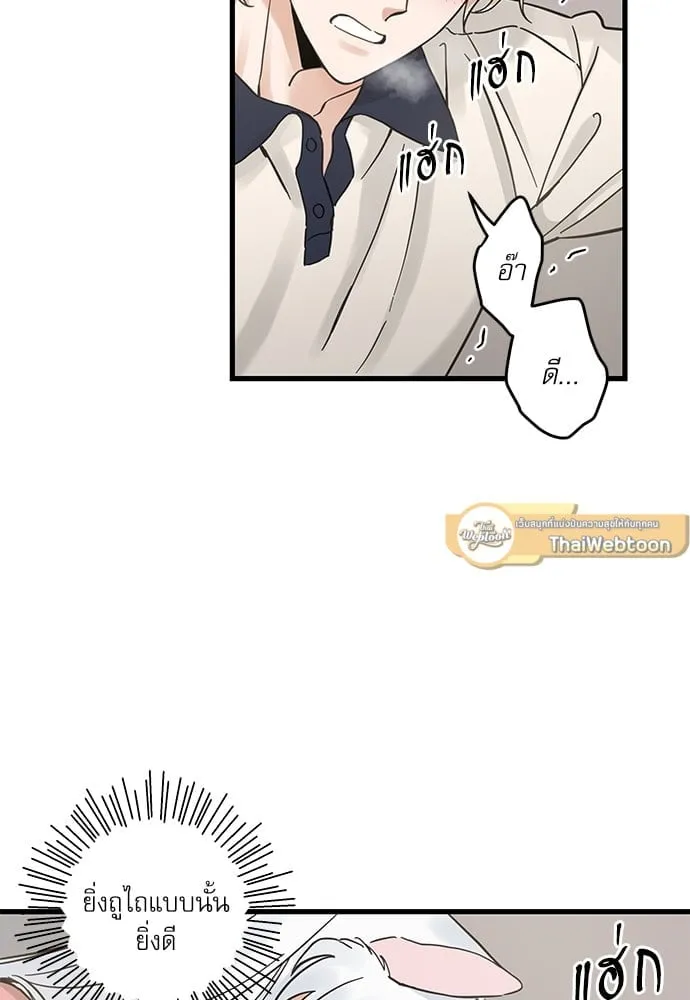 My One and Only Cat ตอนที่ 5149 My One and Only Cat ตอนที่ 5149