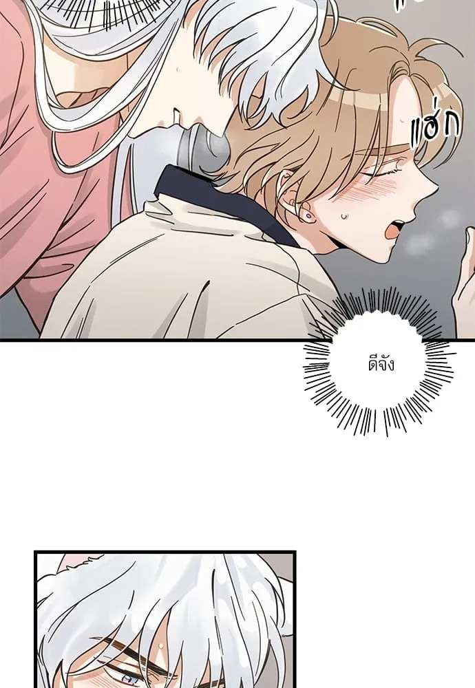 My One and Only Cat ตอนที่ 5150 My One and Only Cat ตอนที่ 5150