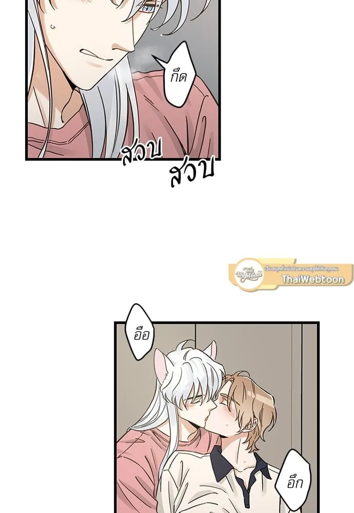 My One and Only Cat ตอนที่ 5151 My One and Only Cat ตอนที่ 5151