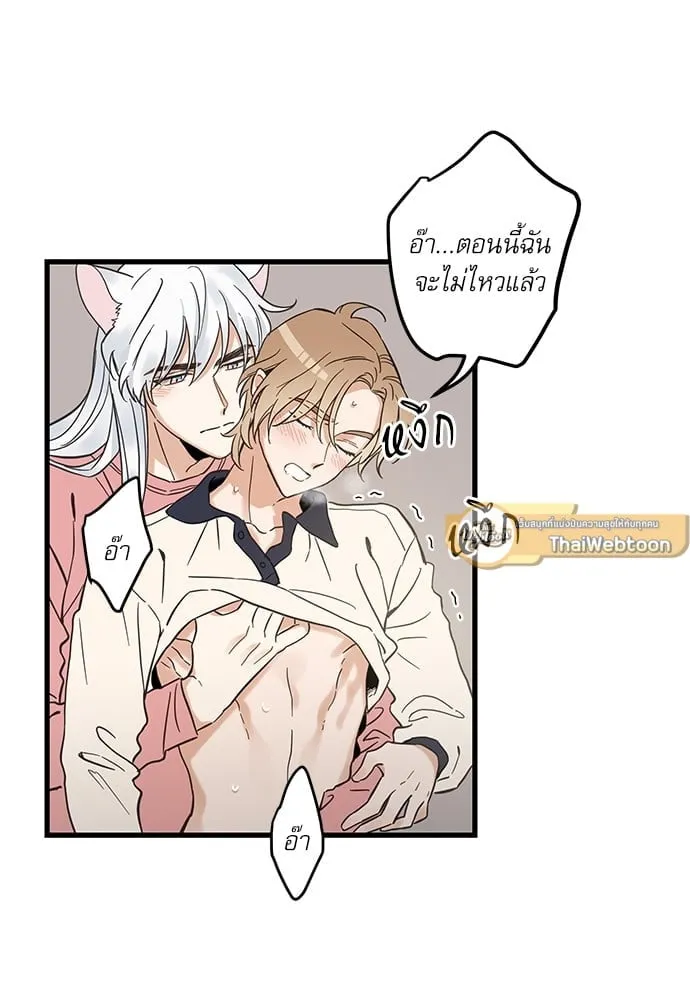 My One and Only Cat ตอนที่ 5154 My One and Only Cat ตอนที่ 5154