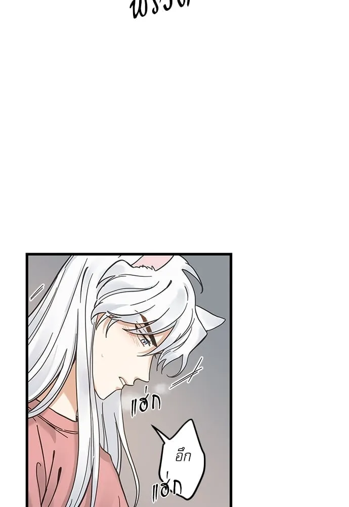 My One and Only Cat ตอนที่ 5157 My One and Only Cat ตอนที่ 5157