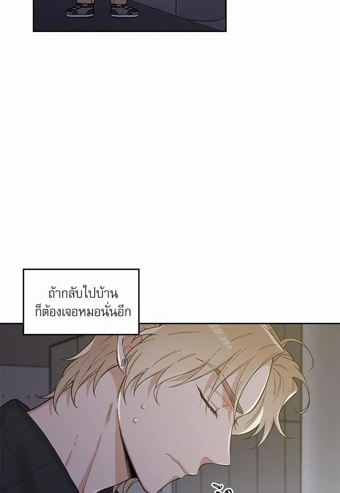 My One and Only Cat ตอนที่ 516 My One and Only Cat ตอนที่ 516