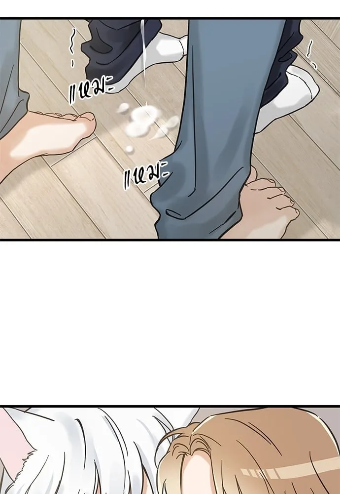 My One and Only Cat ตอนที่ 5161 My One and Only Cat ตอนที่ 5161