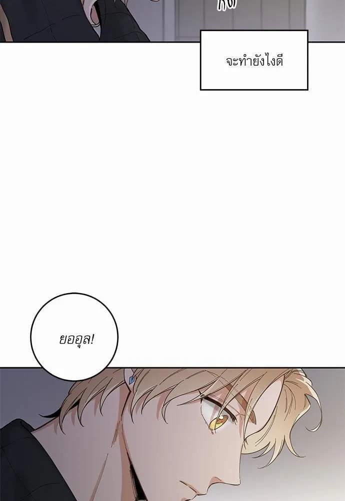 My One and Only Cat ตอนที่ 517 My One and Only Cat ตอนที่ 517