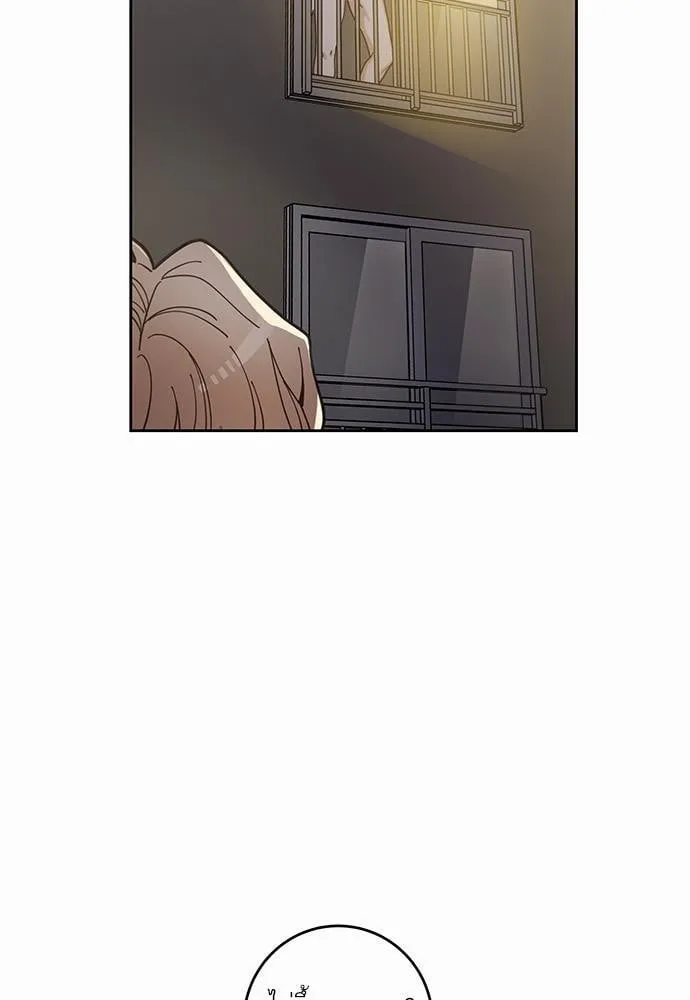 My One and Only Cat ตอนที่ 519 My One and Only Cat ตอนที่ 519