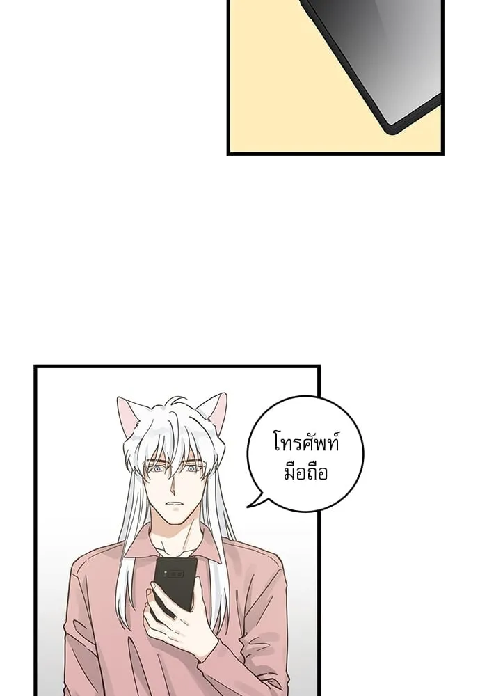 My One and Only Cat ตอนที่ 5212 My One and Only Cat ตอนที่ 5212