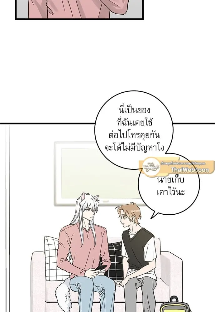 My One and Only Cat ตอนที่ 5213 My One and Only Cat ตอนที่ 5213