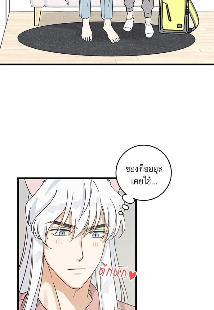 My One and Only Cat ตอนที่ 5214 My One and Only Cat ตอนที่ 5214