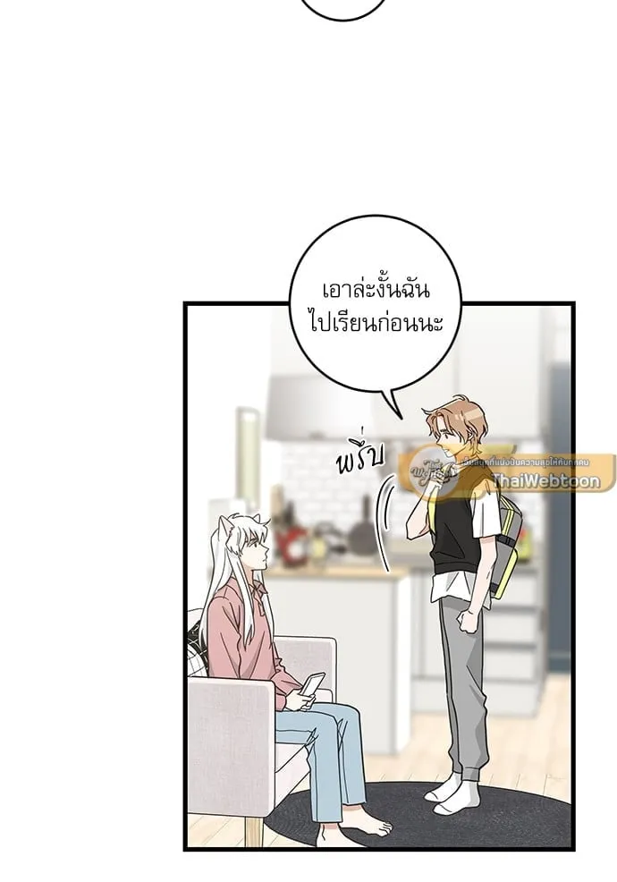 My One and Only Cat ตอนที่ 5217 My One and Only Cat ตอนที่ 5217