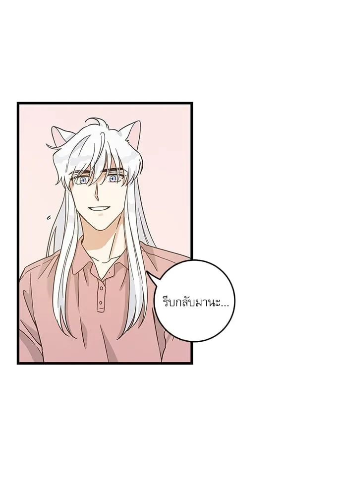 My One and Only Cat ตอนที่ 5218 My One and Only Cat ตอนที่ 5218