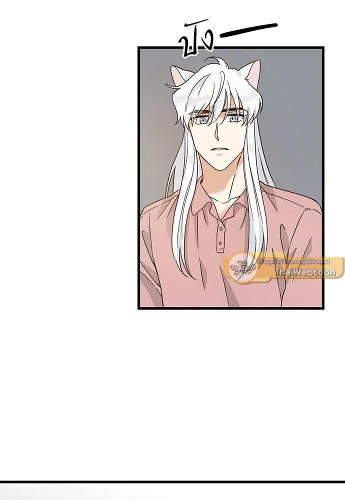 My One and Only Cat ตอนที่ 5219 My One and Only Cat ตอนที่ 5219