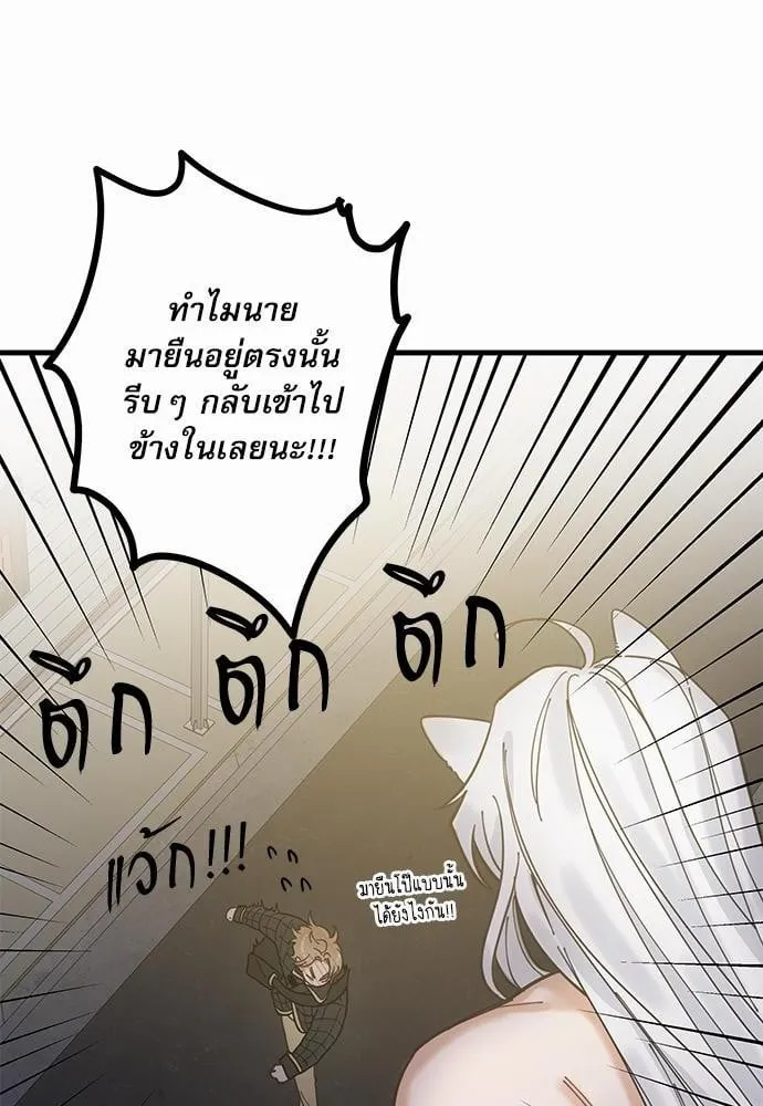 My One and Only Cat ตอนที่ 522 My One and Only Cat ตอนที่ 522
