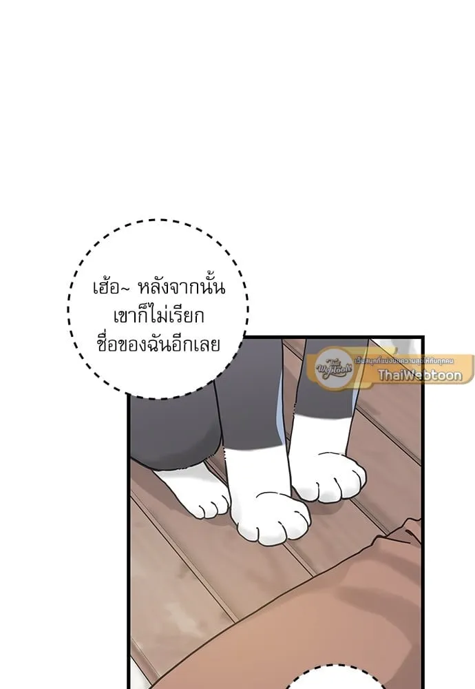 My One and Only Cat ตอนที่ 5241 My One and Only Cat ตอนที่ 5241