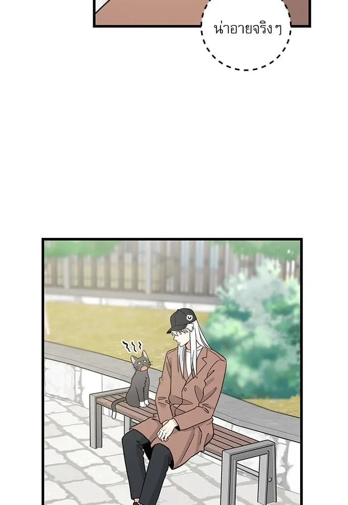 My One and Only Cat ตอนที่ 5242 My One and Only Cat ตอนที่ 5242