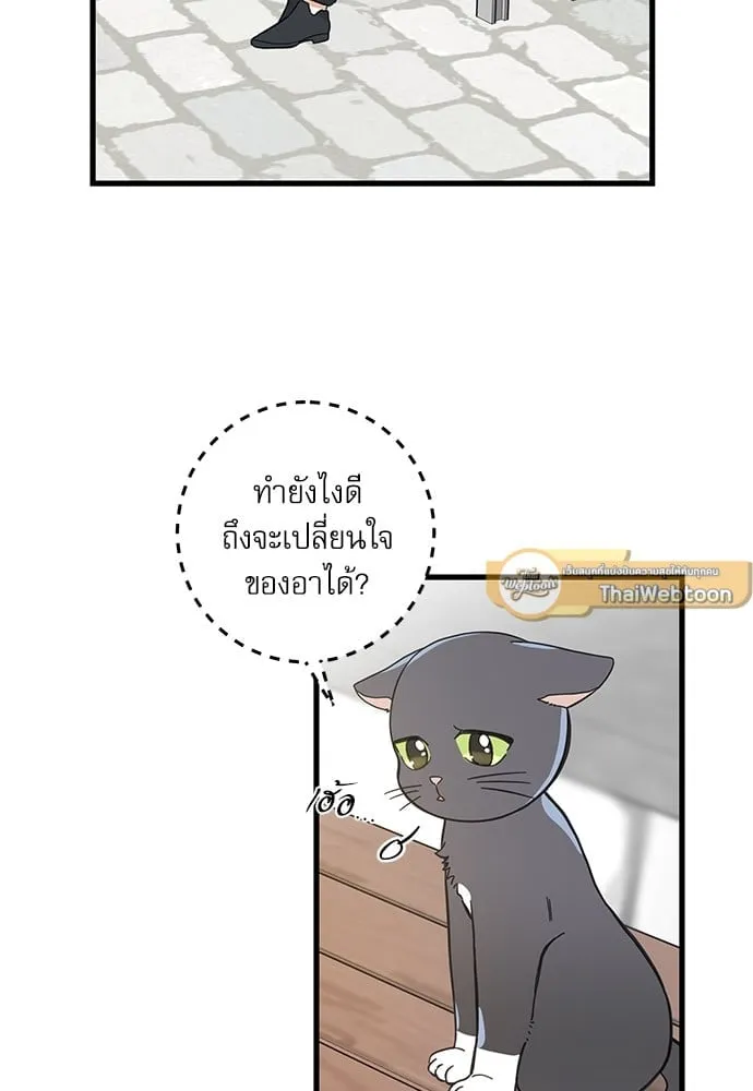 My One and Only Cat ตอนที่ 5243 My One and Only Cat ตอนที่ 5243