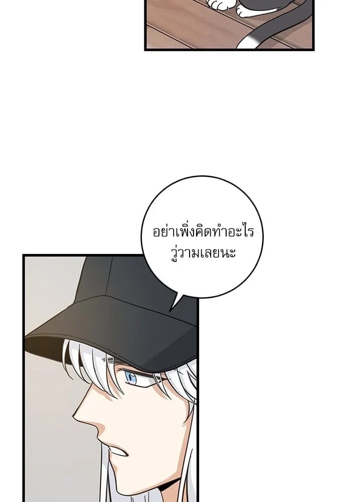 My One and Only Cat ตอนที่ 5244 My One and Only Cat ตอนที่ 5244