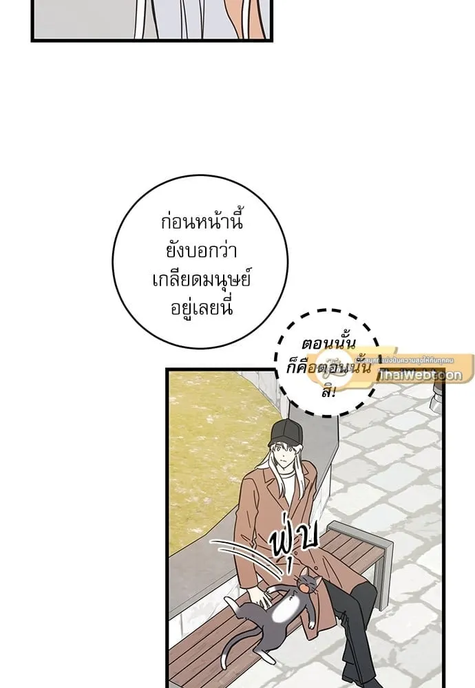 My One and Only Cat ตอนที่ 5245 My One and Only Cat ตอนที่ 5245