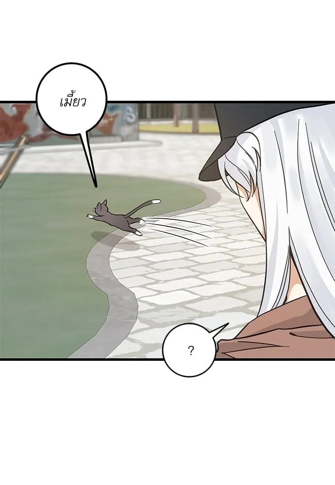 My One and Only Cat ตอนที่ 5248 My One and Only Cat ตอนที่ 5248