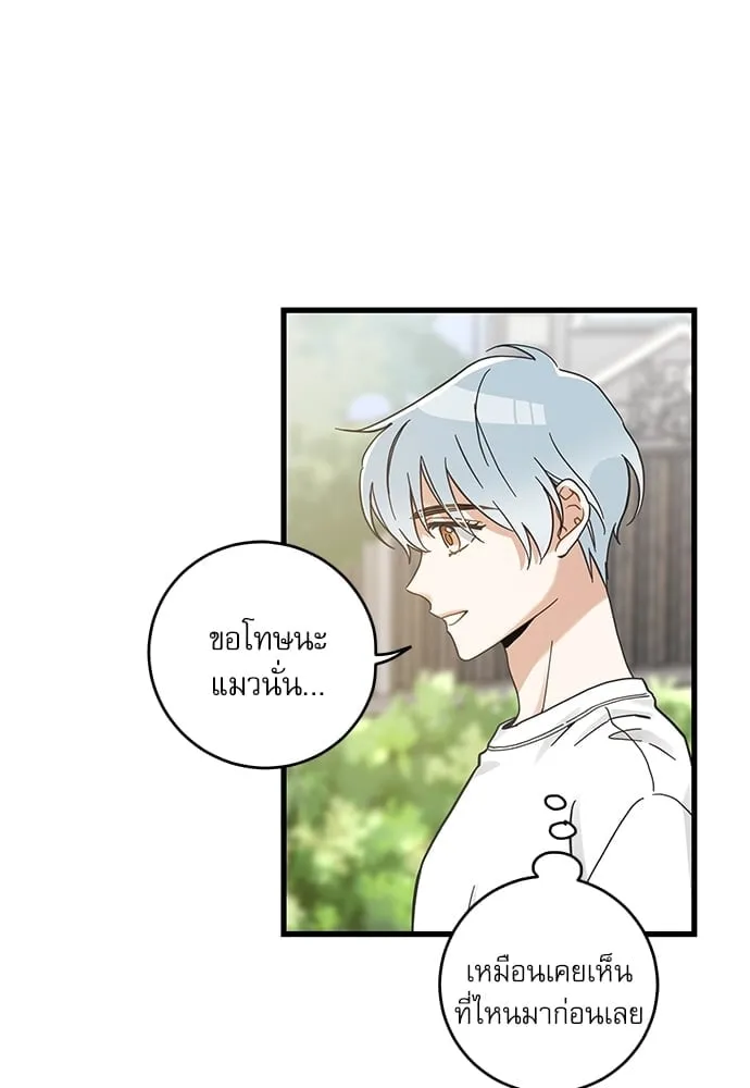 My One and Only Cat ตอนที่ 5252 My One and Only Cat ตอนที่ 5252