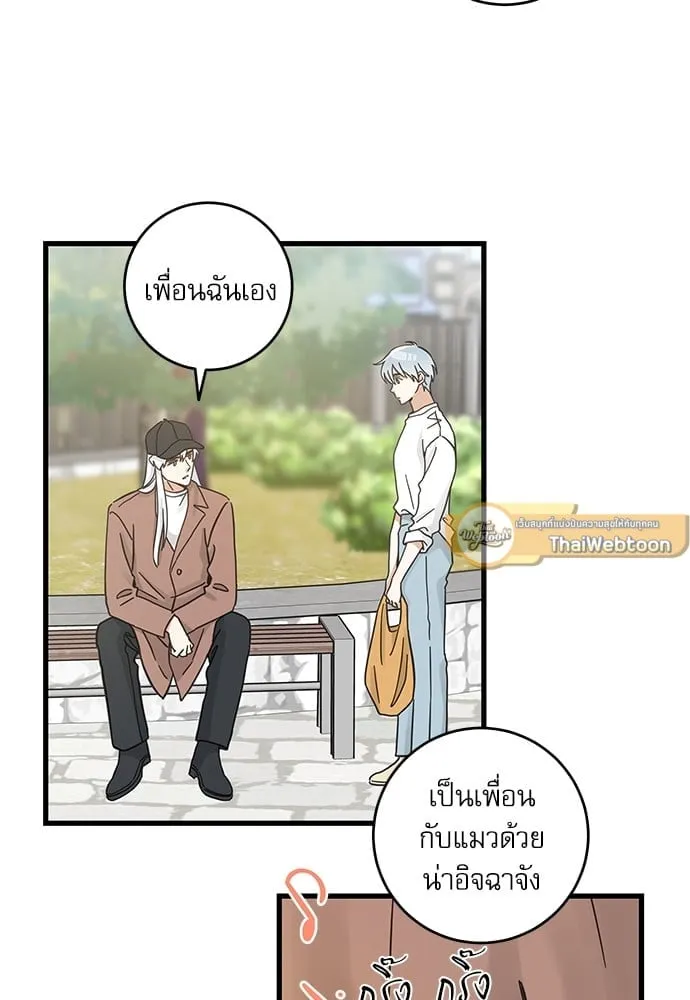 My One and Only Cat ตอนที่ 5253 My One and Only Cat ตอนที่ 5253