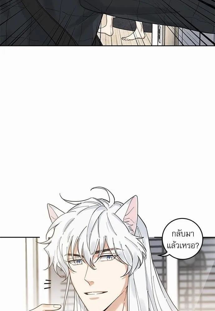 My One and Only Cat ตอนที่ 526 My One and Only Cat ตอนที่ 526