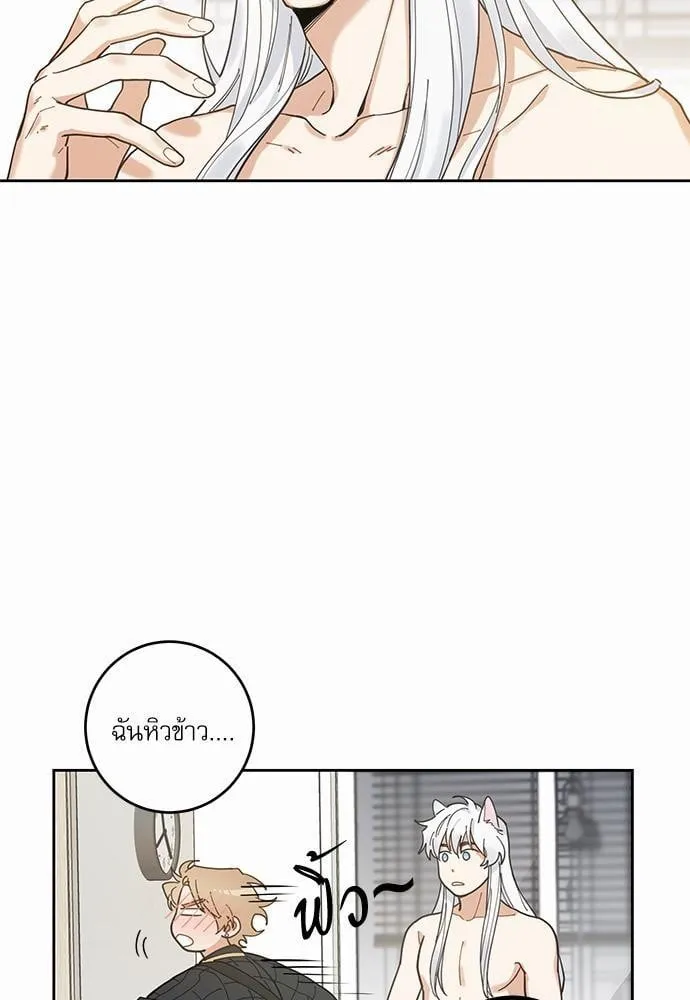 My One and Only Cat ตอนที่ 527 My One and Only Cat ตอนที่ 527