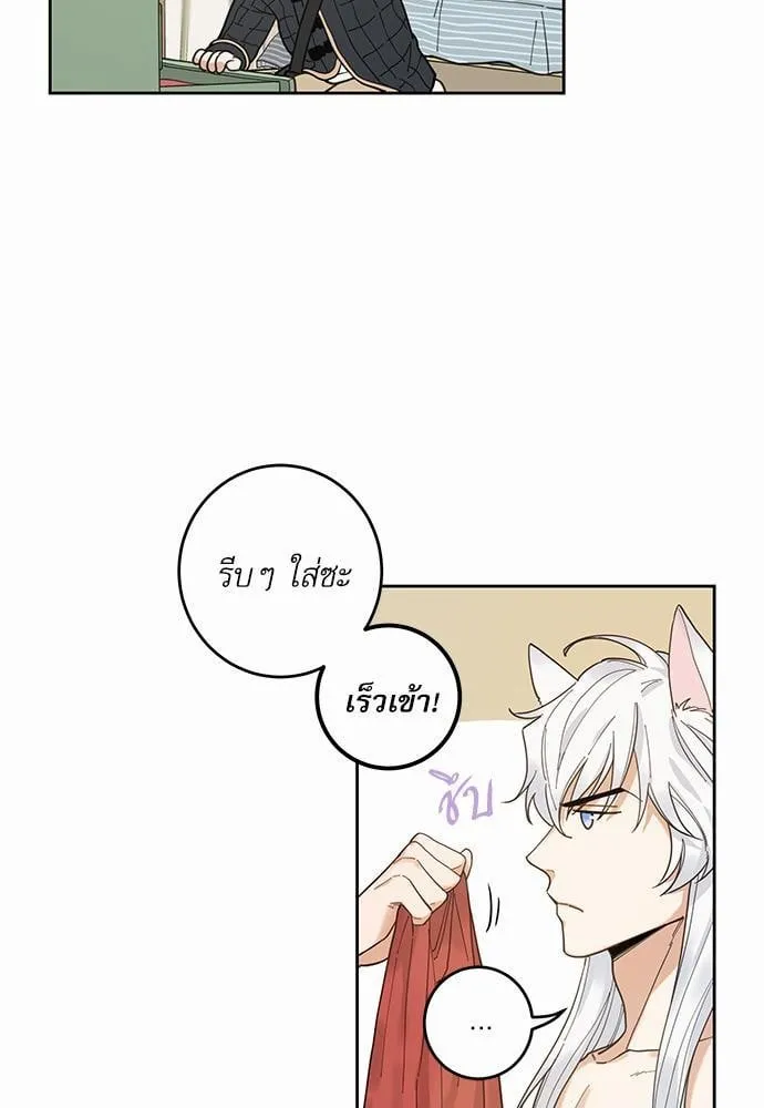 My One and Only Cat ตอนที่ 529 My One and Only Cat ตอนที่ 529