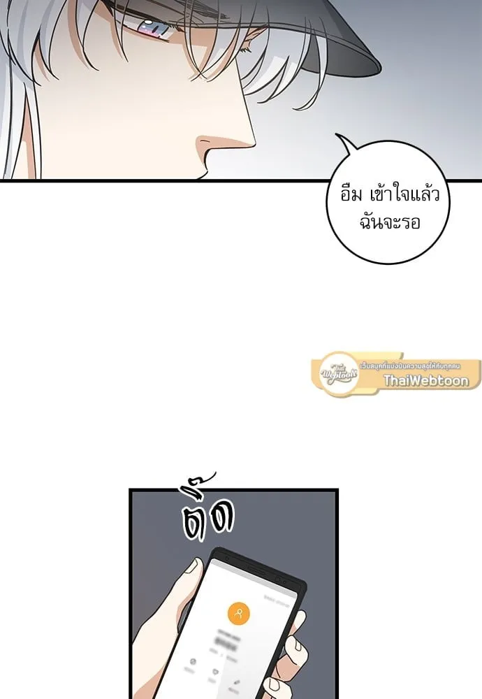 My One and Only Cat ตอนที่ 5305 My One and Only Cat ตอนที่ 5305