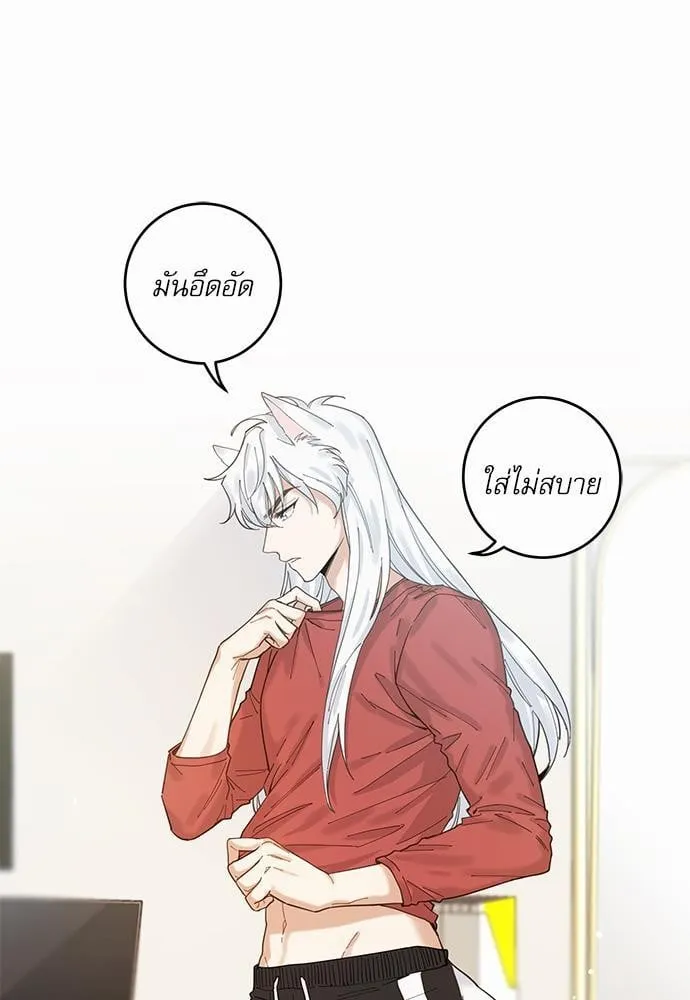 My One and Only Cat ตอนที่ 531 My One and Only Cat ตอนที่ 531