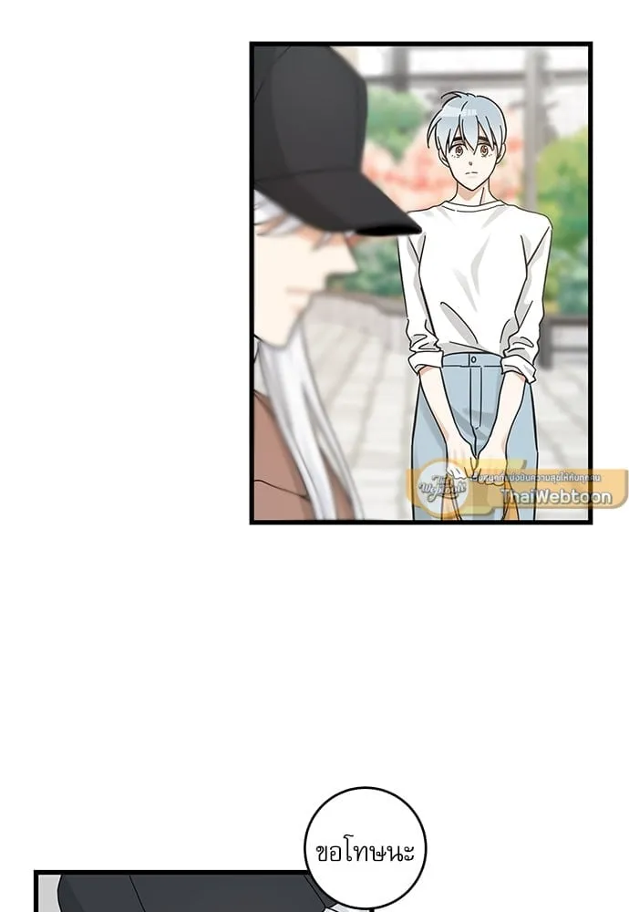 My One and Only Cat ตอนที่ 5311 My One and Only Cat ตอนที่ 5311