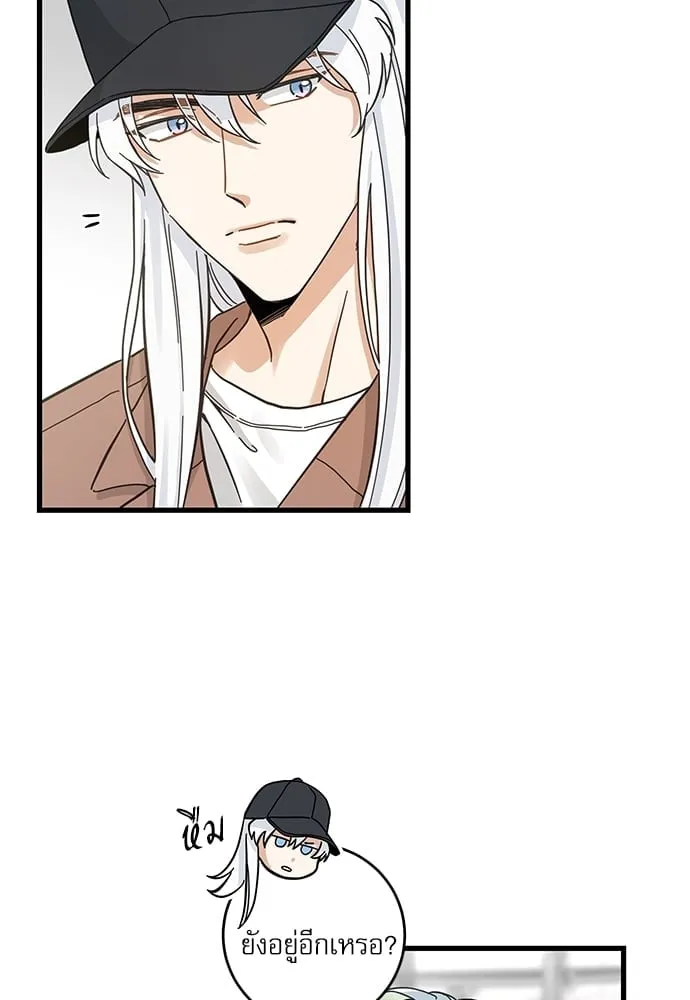 My One and Only Cat ตอนที่ 5312 My One and Only Cat ตอนที่ 5312