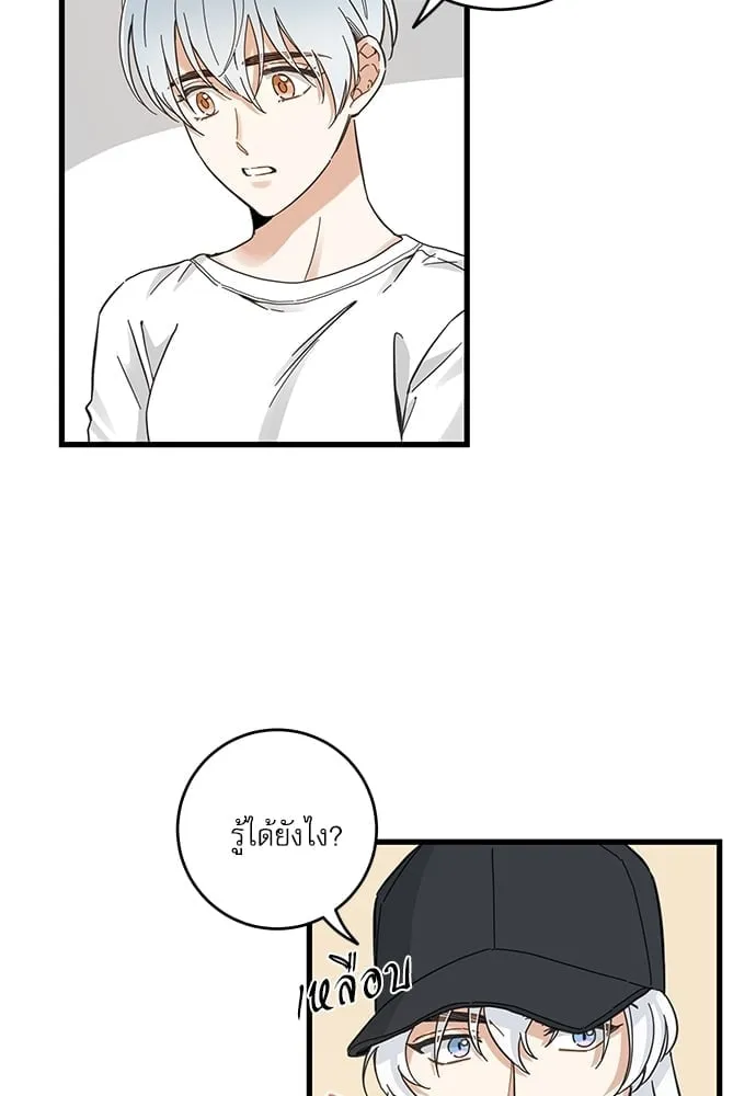 My One and Only Cat ตอนที่ 5314 My One and Only Cat ตอนที่ 5314