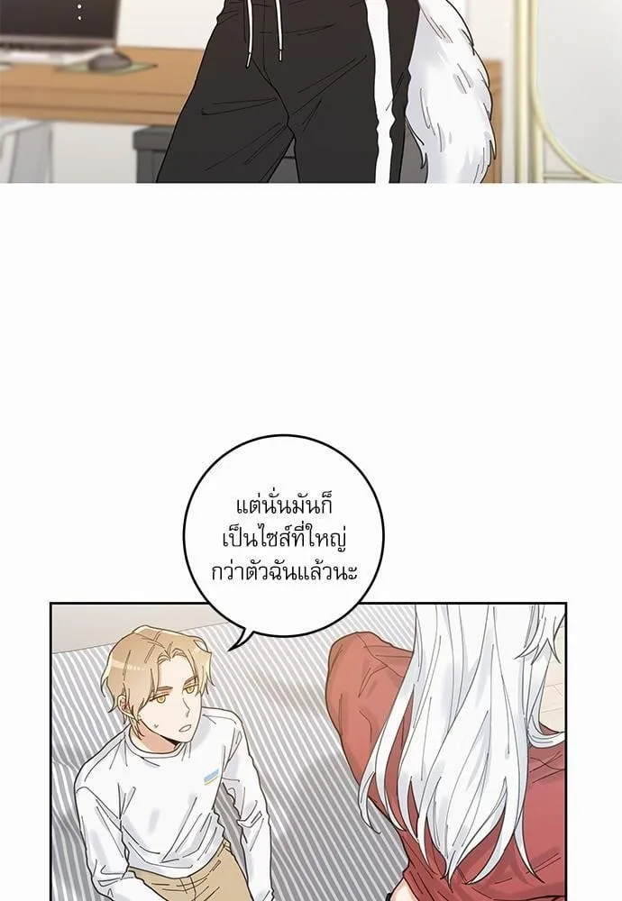 My One and Only Cat ตอนที่ 532 My One and Only Cat ตอนที่ 532