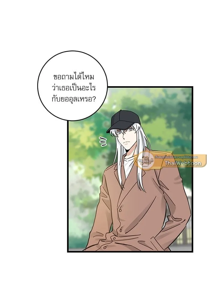 My One and Only Cat ตอนที่ 5321 My One and Only Cat ตอนที่ 5321