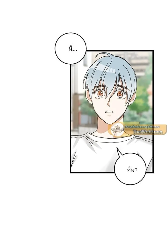 My One and Only Cat ตอนที่ 5323 My One and Only Cat ตอนที่ 5323