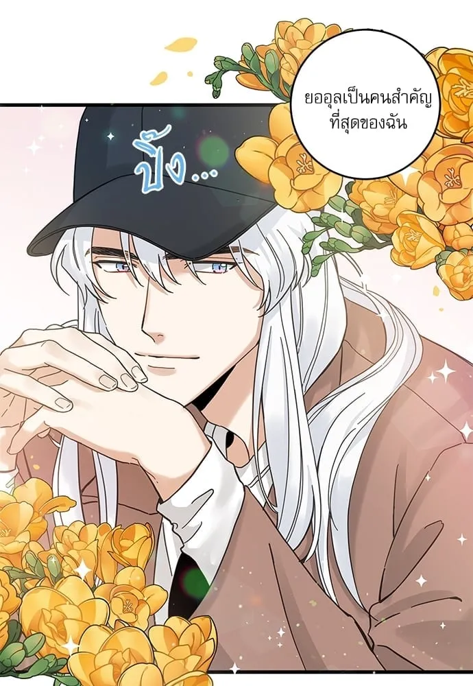 My One and Only Cat ตอนที่ 5324 My One and Only Cat ตอนที่ 5324