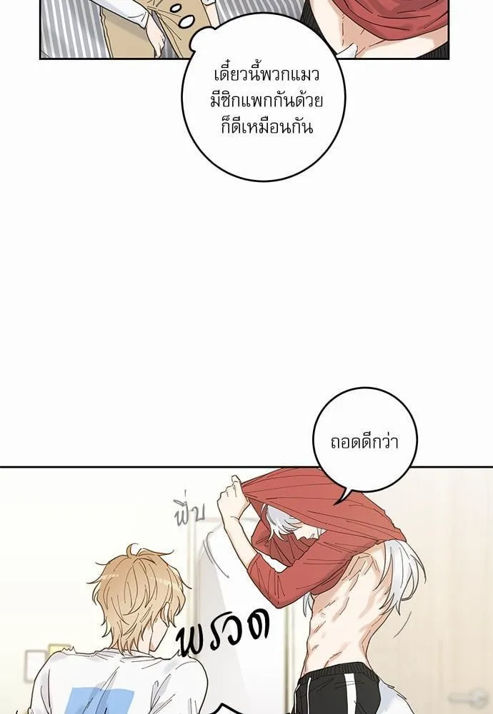 My One and Only Cat ตอนที่ 533 My One and Only Cat ตอนที่ 533