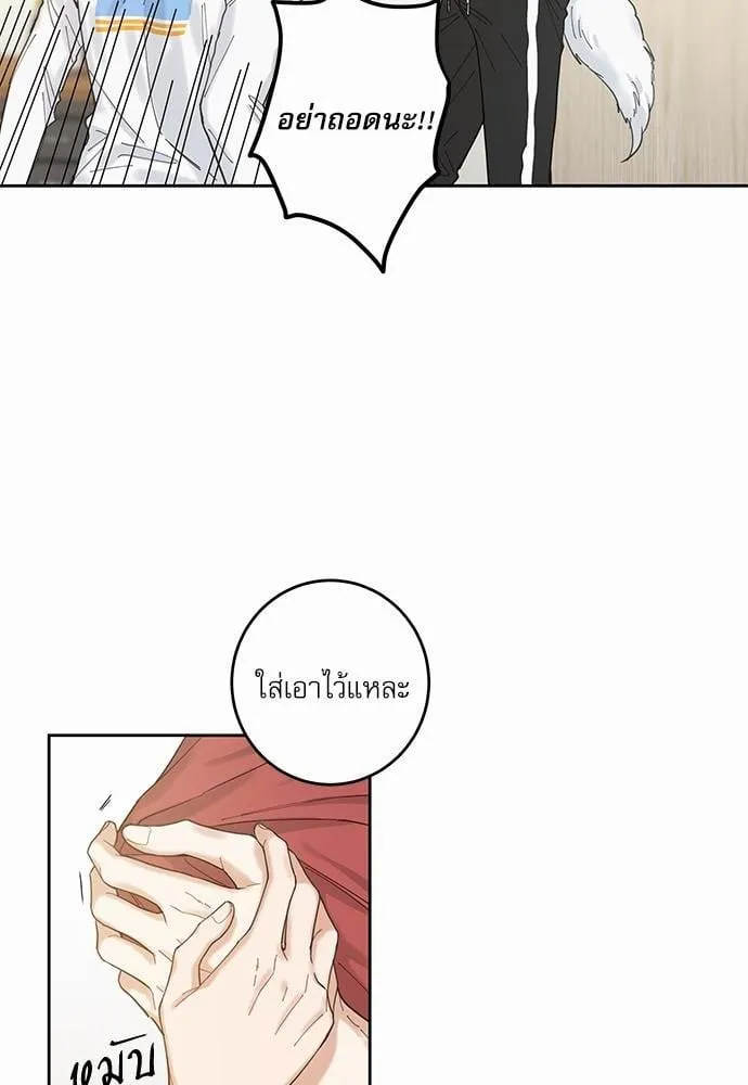 My One and Only Cat ตอนที่ 534 My One and Only Cat ตอนที่ 534