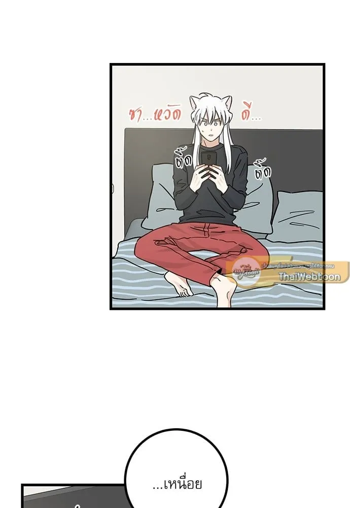 My One and Only Cat ตอนที่ 5341 My One and Only Cat ตอนที่ 5341
