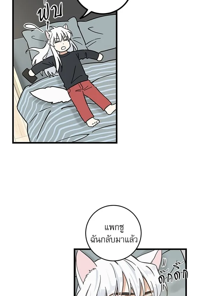 My One and Only Cat ตอนที่ 5342 My One and Only Cat ตอนที่ 5342